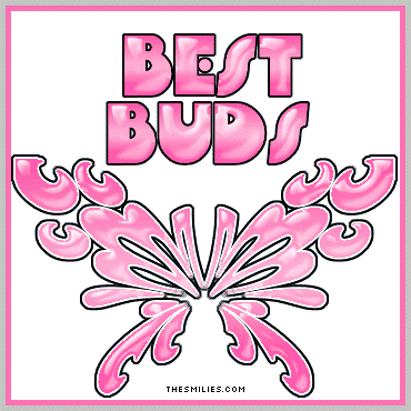 Friendship - Best Buds Butterfly