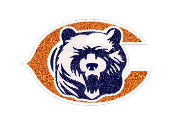 NFL Football - Bears