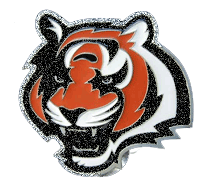 NFL Football - Bengals