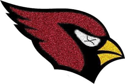 NFL Football - Cardinals