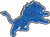 NFL Football - Lions