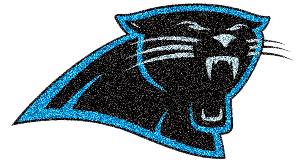 NFL Football - Panthers