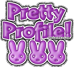 Profile Comments - Pretty Profile