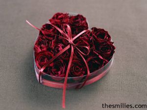 Valentine Hearts - Valentineimages57