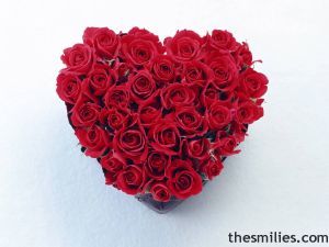 Valentine Hearts - Valentineimages58