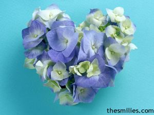 Valentine Hearts - Valentineimages63