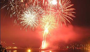 New Year background 46