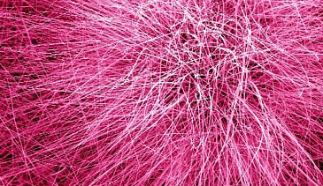 New Year background 50