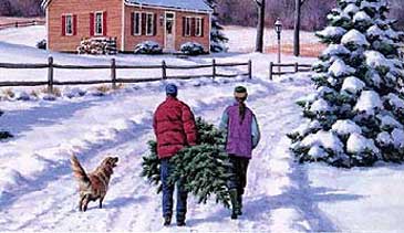 Christmas background 27